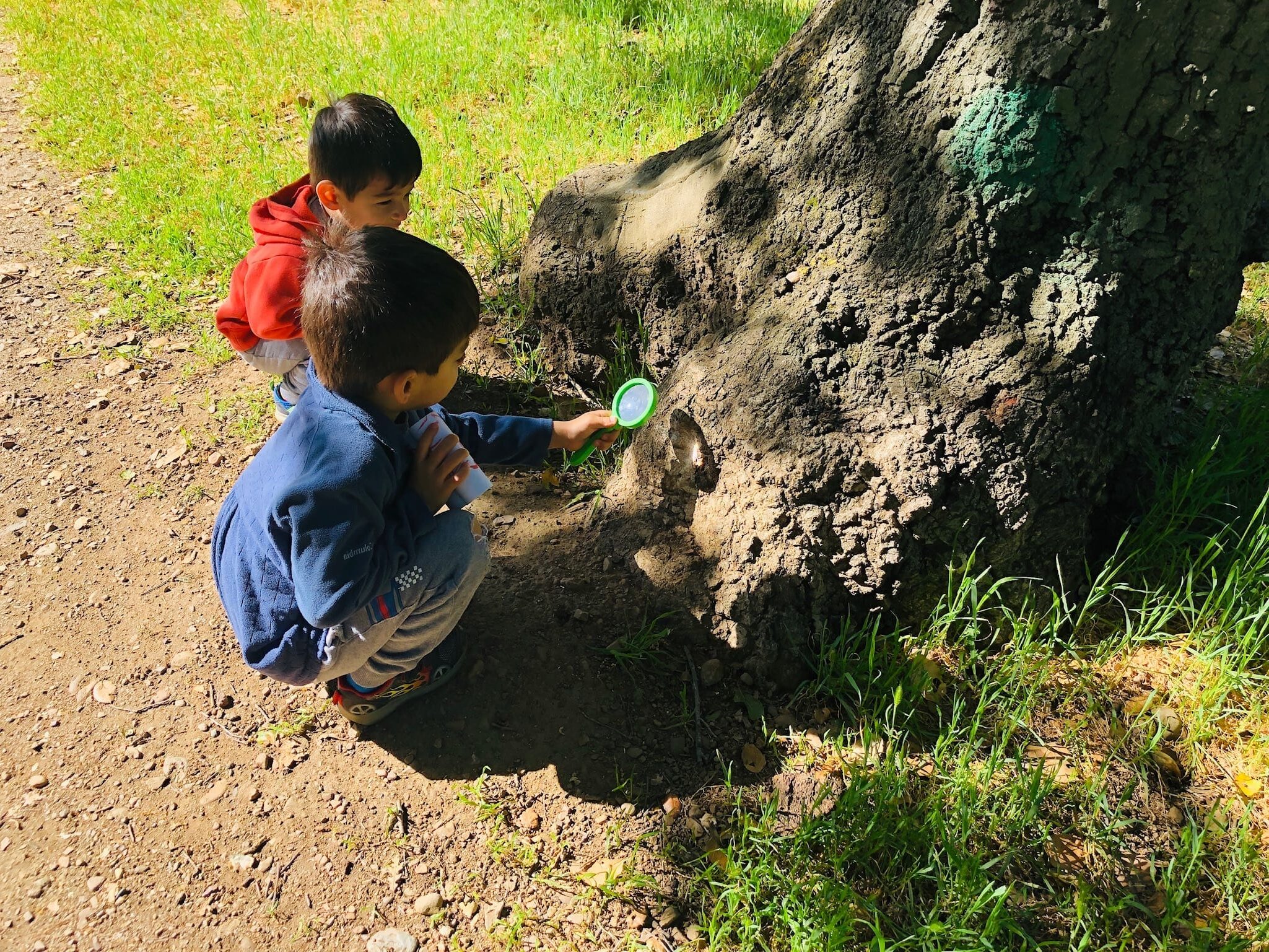 2 small children looking under a tree outside