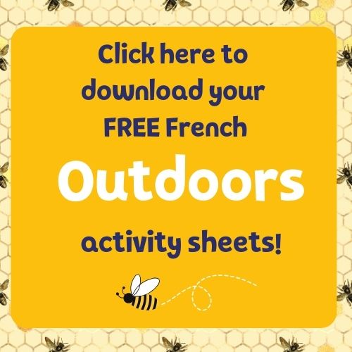 free French activity sheet