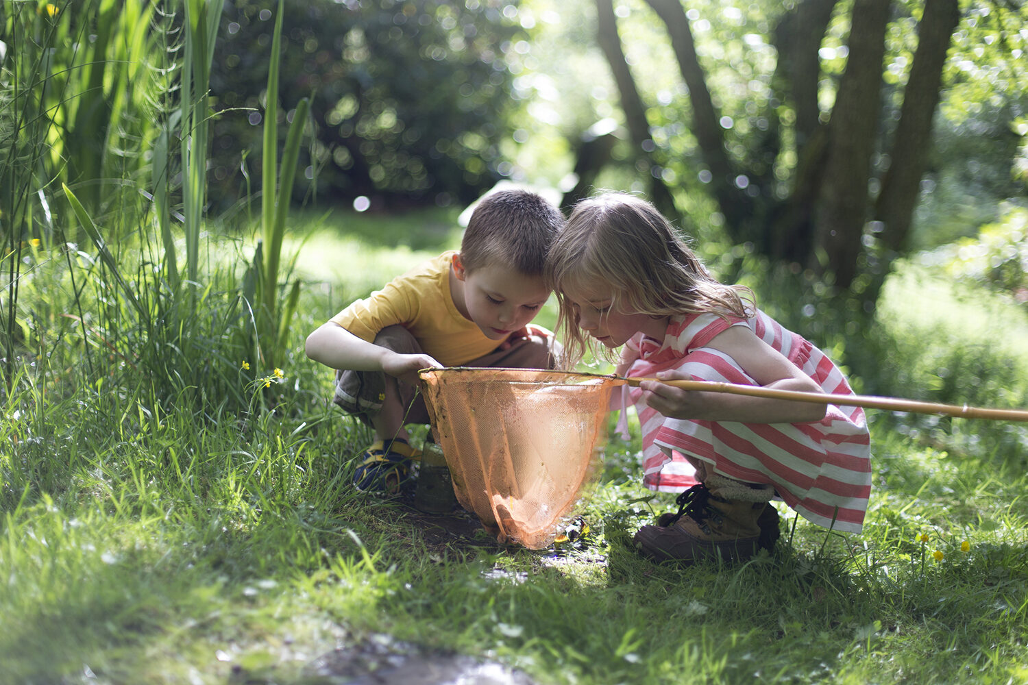 Little boy and girl looking into their fishing net at the wildlife they have found.